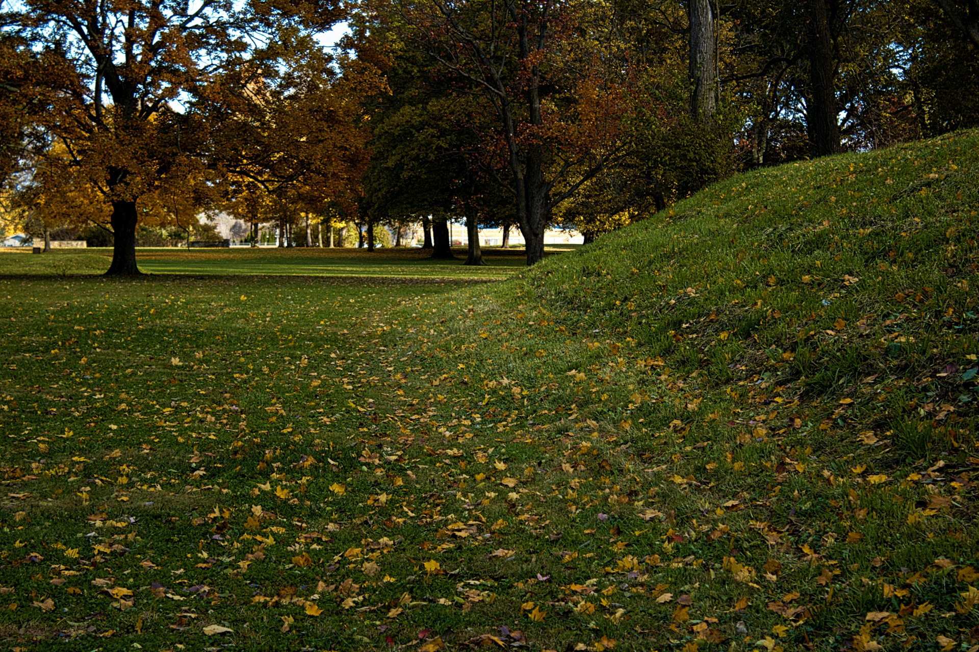 Terrassement - photo 2